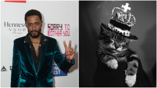 Lakeith Stanfield is…The <i>Prince Of Cats</i><em></em><em></em>